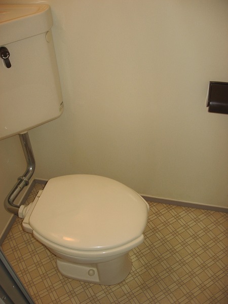 Toilet. Toilet. It is a photograph of a separate room.