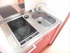 Kitchen. Two-necked electric stove