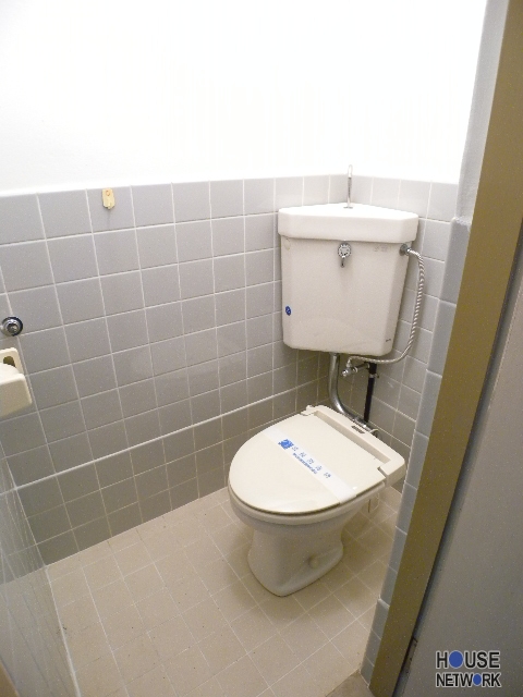 Toilet. The photograph is a different type of room