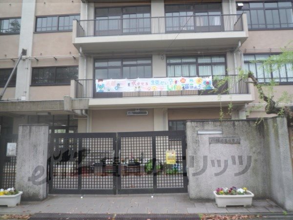 Junior high school. Konoe 1800m until junior high school (junior high school)