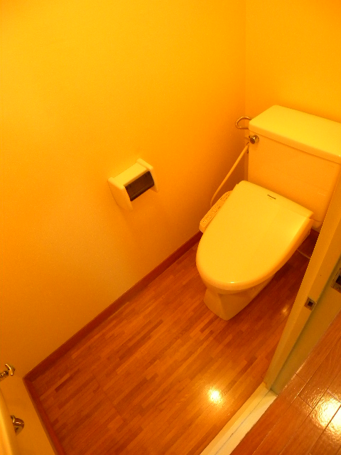 Toilet. Looking for a perfect room in your eyes!