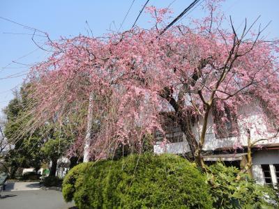 Streets around. It is a quiet residential area near "Kitashirakawa hydrophobic" Gasugu. You will feel the calm atmosphere.