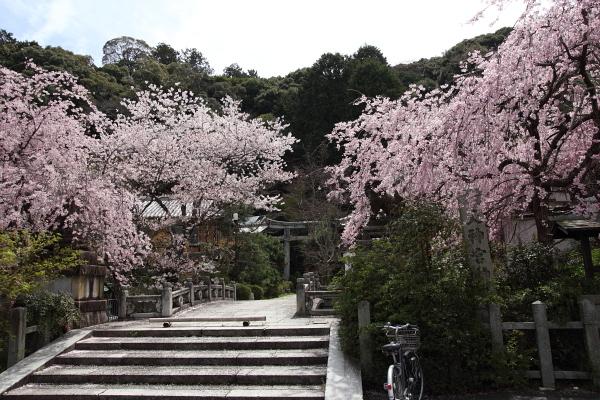 Other. Walk about 18 minutes to Kitashirakawa Shrine.