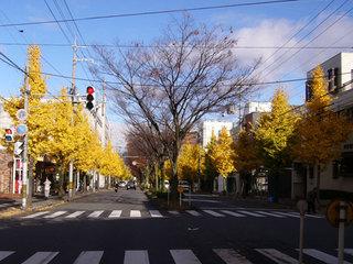 Other. It is Shirakawa street Namiki.