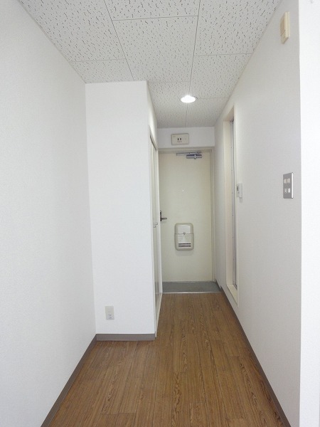 Other room space. Corridor space (is a photograph of the same apartment by Room No.)