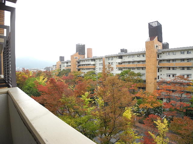 View. Also published in the website "Kyoto rental House Network"