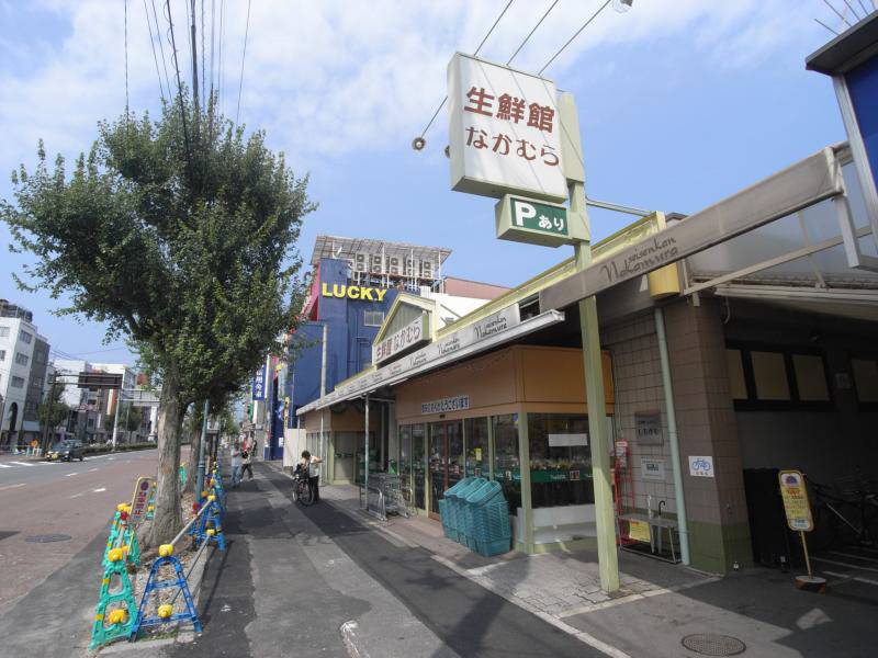 Supermarket. 300m until fresh Museum Nakamura (super)