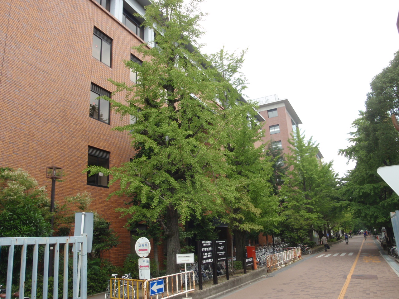 University ・ Junior college. Kyoto University Faculty of Agriculture (University of ・ 980m up to junior college)