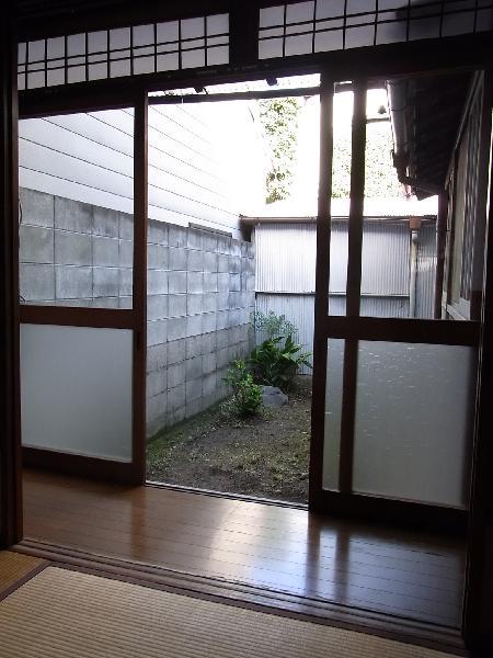 Garden. courtyard