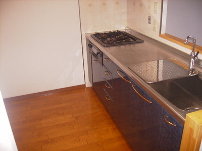 Kitchen. 3 is a neck gas system Kitchen