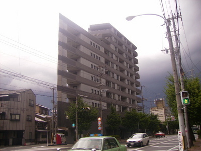 Building appearance. Luxurious appearance