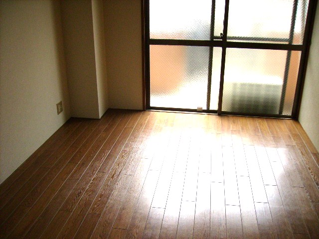 Living and room. Bright room.