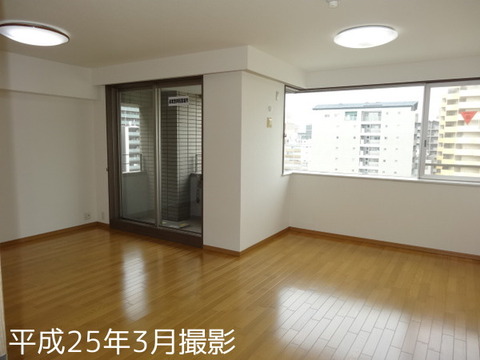 Living and room. Western-style 14.8 Pledge