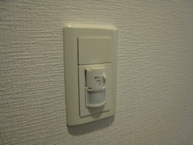 View. Human sensor light