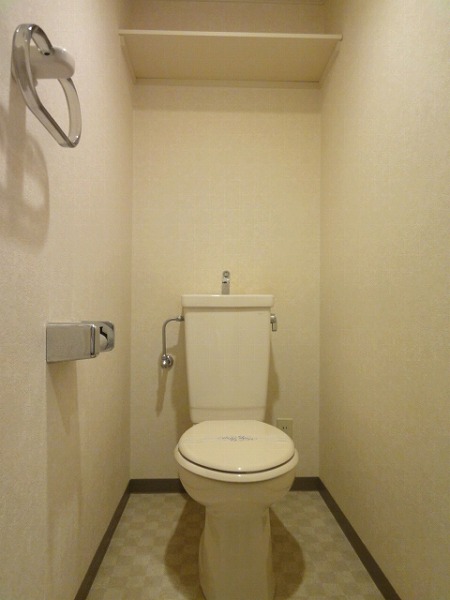 Toilet. It is a photograph of a separate room