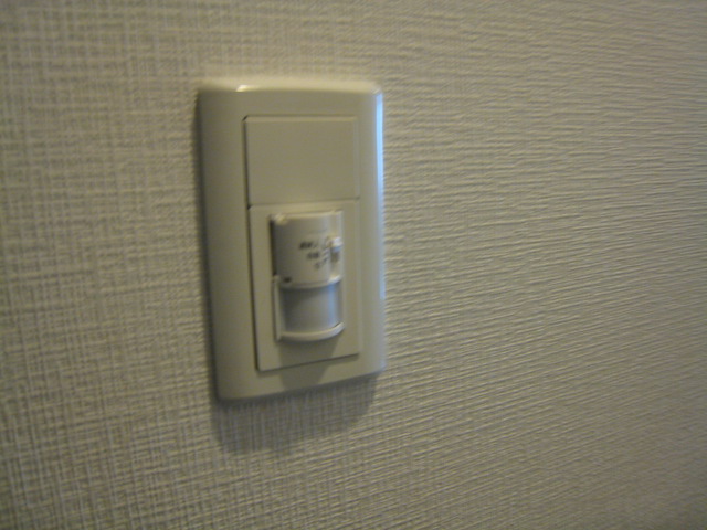 Other. Human sensor light