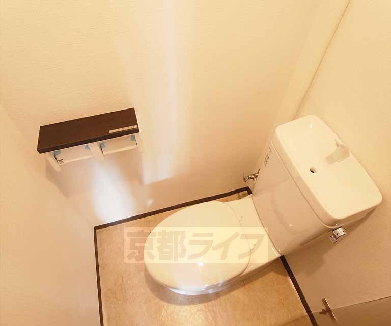 Toilet. 502, Room 2DK photo diversion