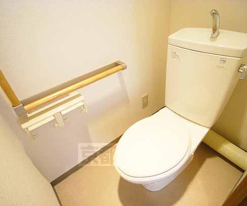 Toilet. Reference photograph