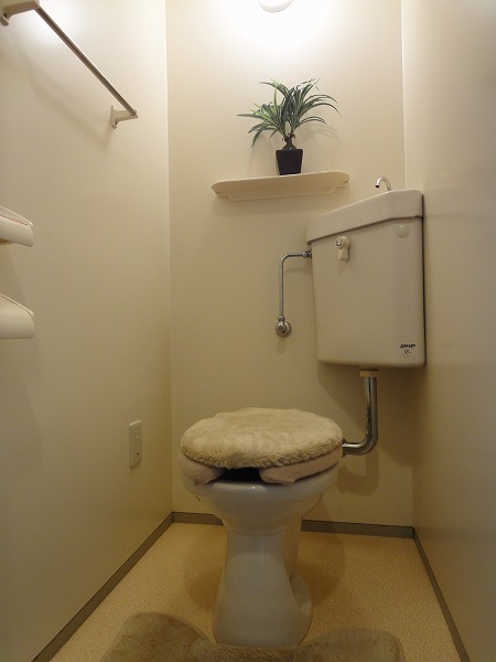 Toilet