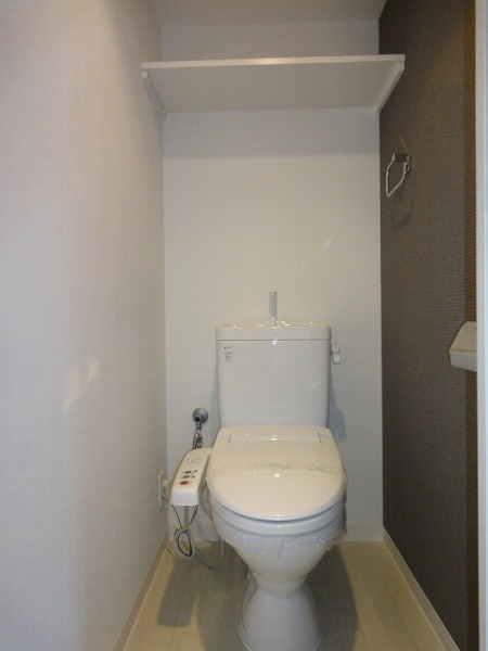 Toilet. It comes with a shelf (It is a photograph of a separate room)
