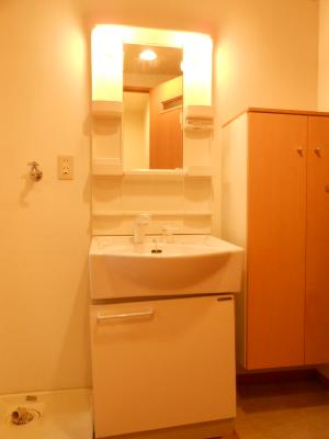 Washroom. Independence is a wash basin!