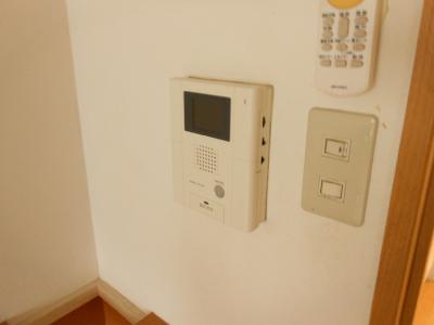 Security. It is inter-book with the monitor ☆