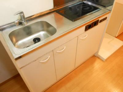 Kitchen. It is a two-burner stove of IH