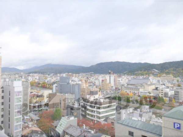 View