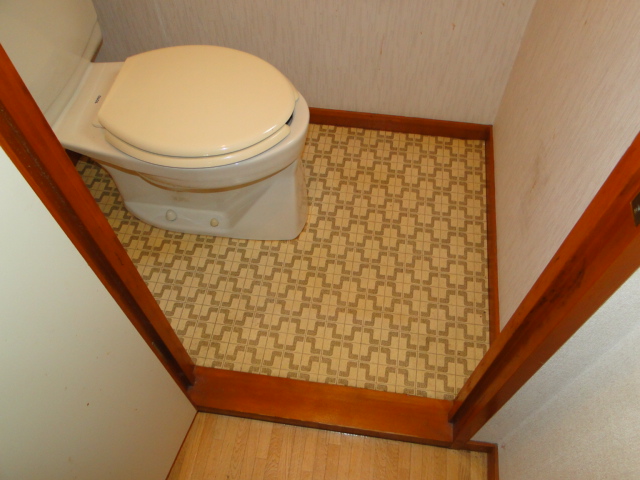 Toilet