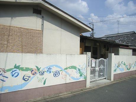 kindergarten ・ Nursery. Tachibana 330m to nursery school