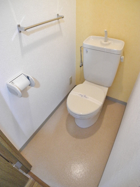 Toilet. Clean toilets with a bidet