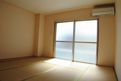 Living and room. Tsu will contain a lot of light from the large windows.