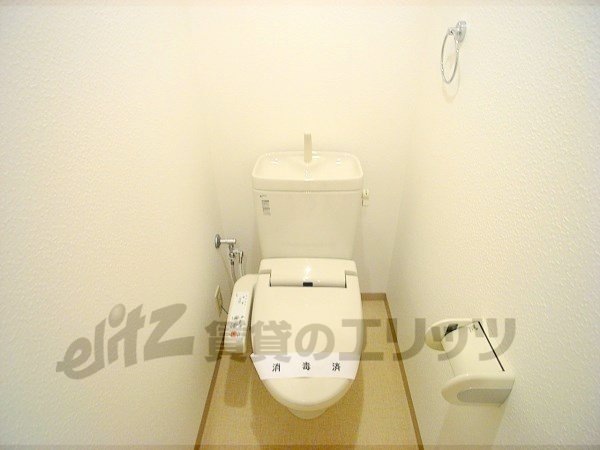 Toilet. Toilet is with a bidet.