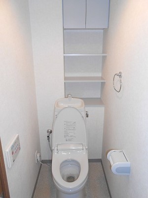 Toilet