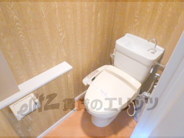 Toilet. Stylish toilet