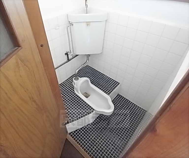 Toilet. Is a Japanese-style, but it is beautiful if polish