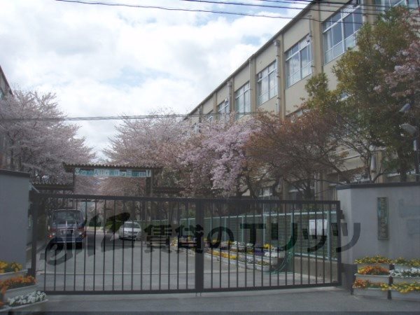 Junior high school. Uzumasa 250m until junior high school (junior high school)