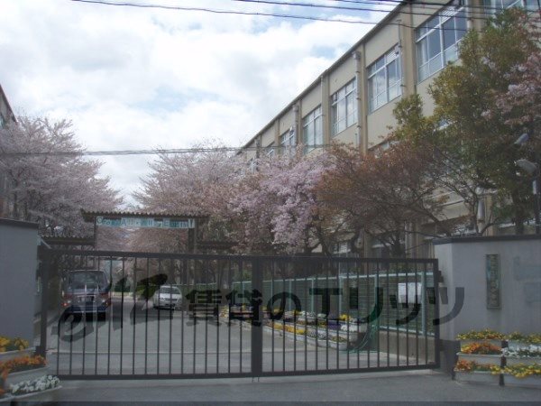 Junior high school. Uzumasa 330m until junior high school (junior high school)