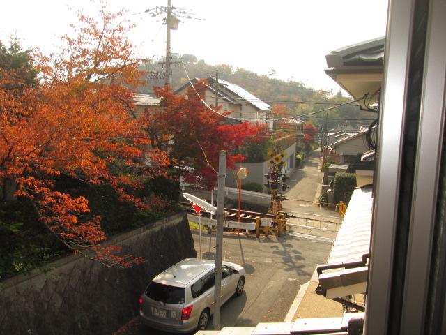 View photos from the dwelling unit. Now is the beautiful autumn leaves