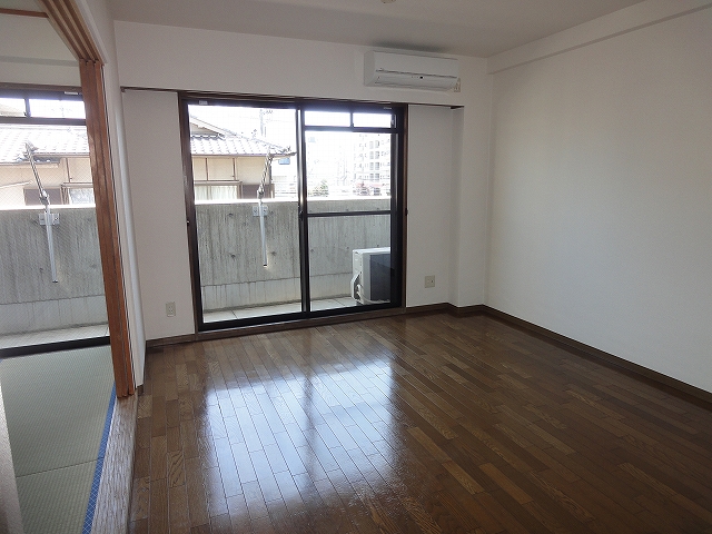 Living and room. Spacious LDK part