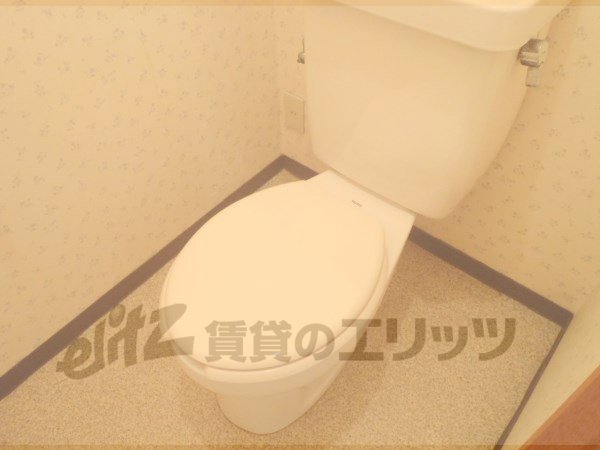 Toilet. Bathing is a separate toilet