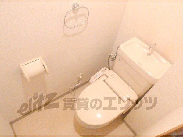 Toilet. Cleanliness overflowing toilet