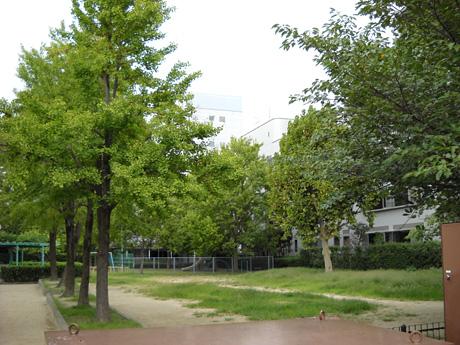 park. Ayumu than Nagura park 430m