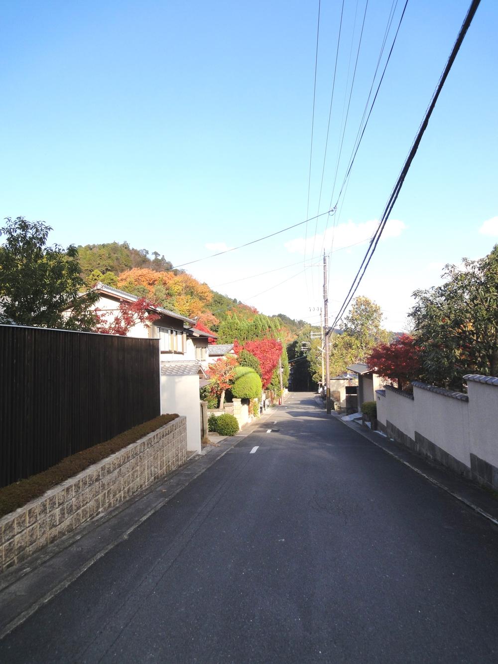 Local photos, including front road. Local (12 May 2013) Shooting