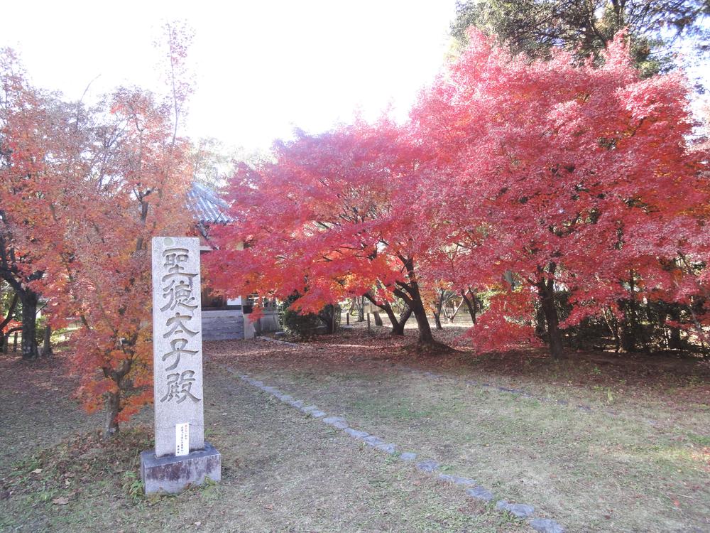 Other. Seiryō-ji (Saga Shakado) (December 2013) Shooting