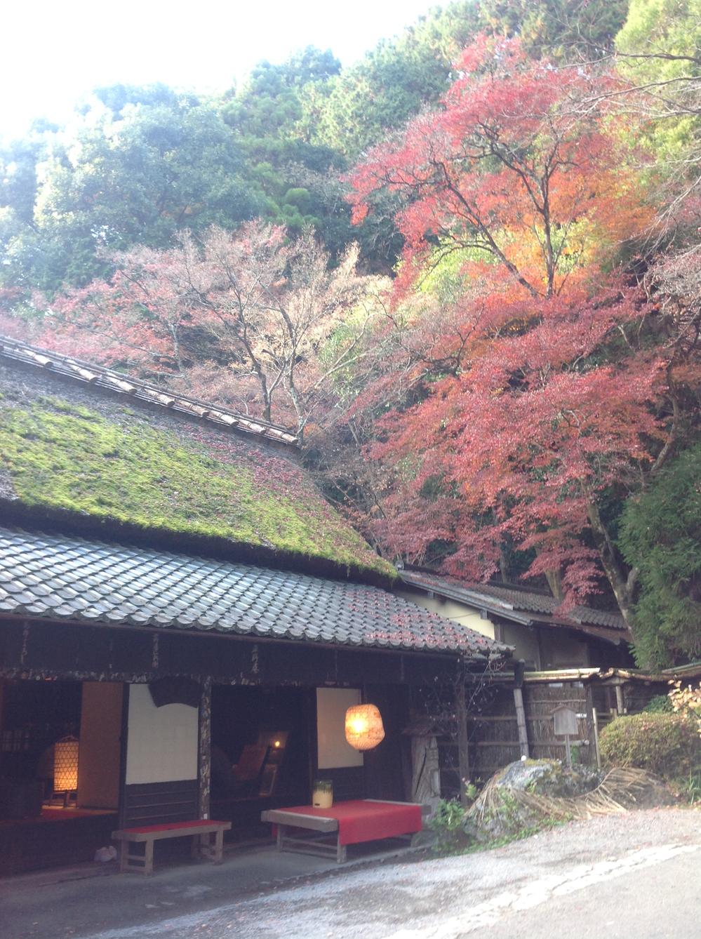 Other. Inn of Ayu Tsutaya (December 2013) Shooting