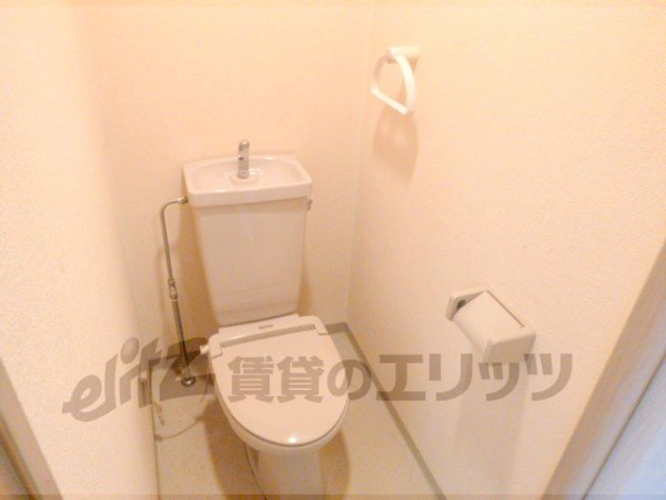 Toilet. Toilet with cleanliness