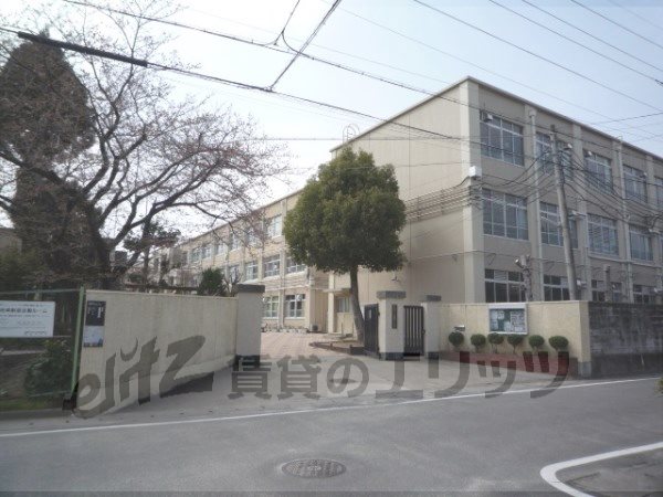 Junior high school. Saga 300m until junior high school (junior high school)