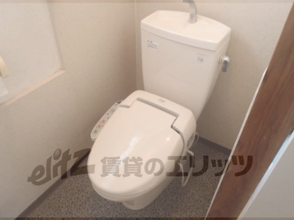 Toilet. Bidet with toilet