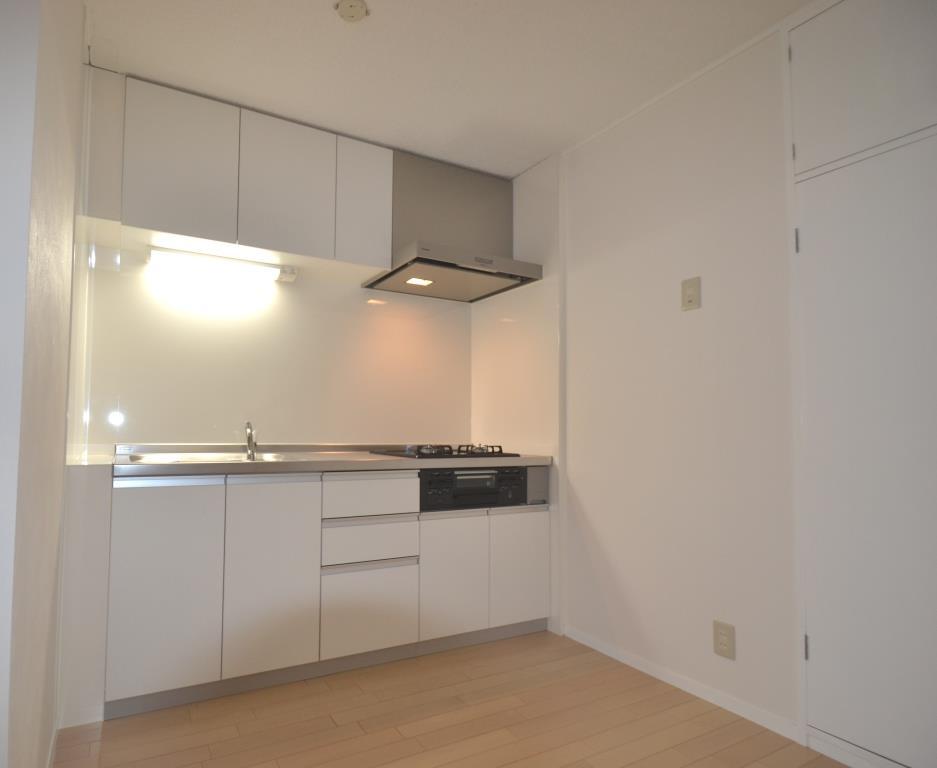 Kitchen. It is likely to be cooking fun in the kitchen of shiny.